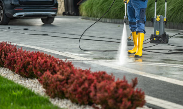 Best Playground Equipment Cleaning  in Rexland Acres, CA